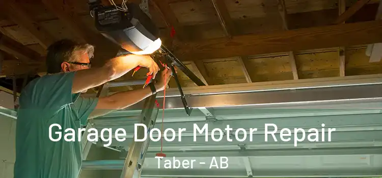  Garage Door Motor Repair Taber - AB