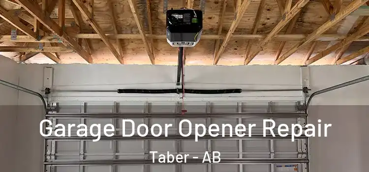  Garage Door Opener Repair Taber - AB