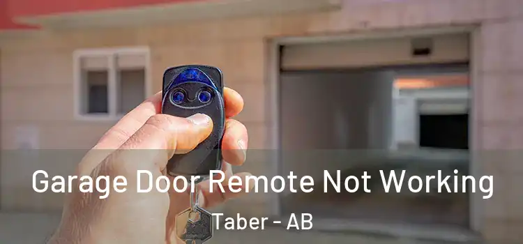  Garage Door Remote Not Working Taber - AB