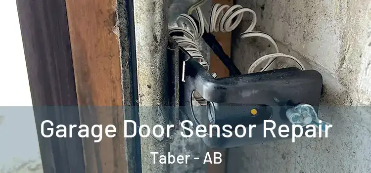  Garage Door Sensor Repair Taber - AB