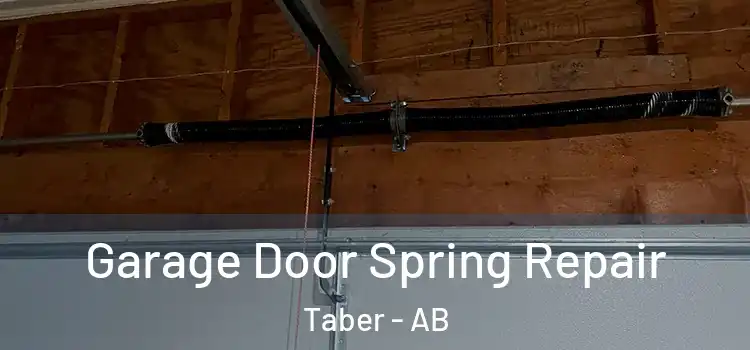  Garage Door Spring Repair Taber - AB
