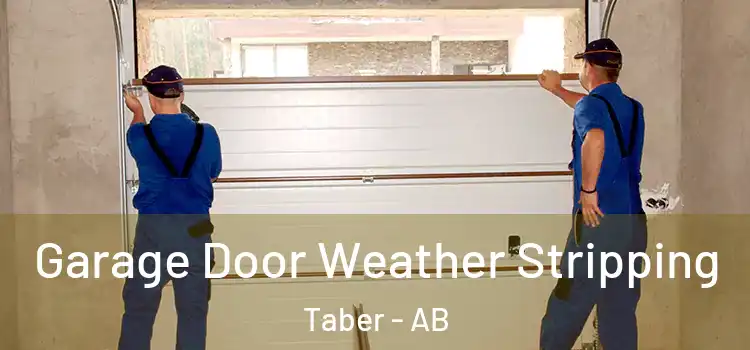  Garage Door Weather Stripping Taber - AB