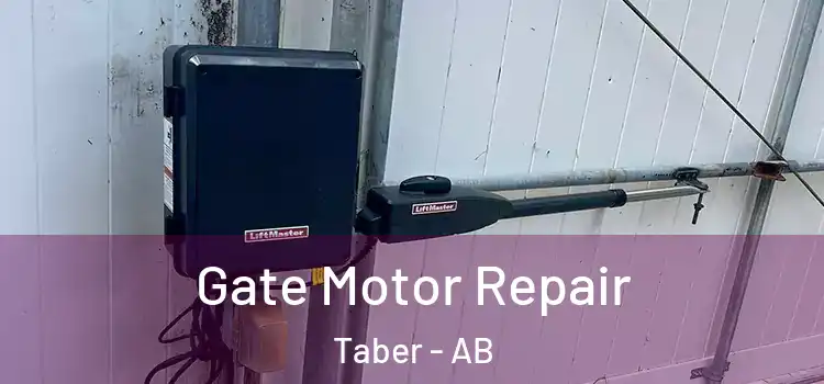  Gate Motor Repair Taber - AB