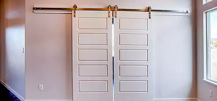 Glass Barn Door with Installation Hardware Kit Taber