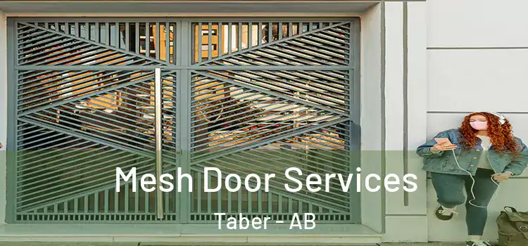 Mesh Door Services Taber - AB
